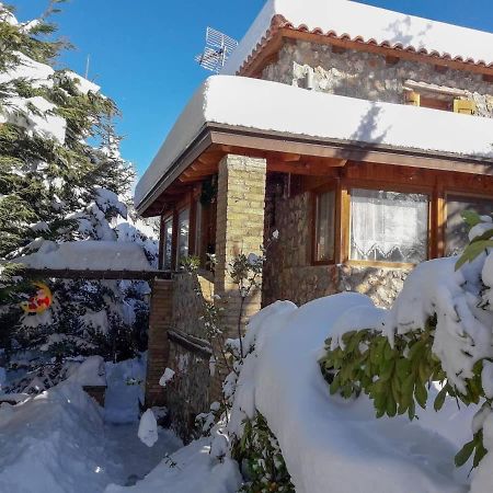 Livadi Chalet Arachova The Perfect Family Vacation Buitenkant foto